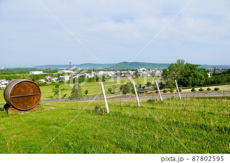 池田ワイン城からの眺め 87802595