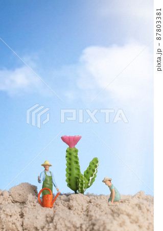 Miniature people gardener working on cactus plants Miniature people gardener working on cactus plants 87803381
