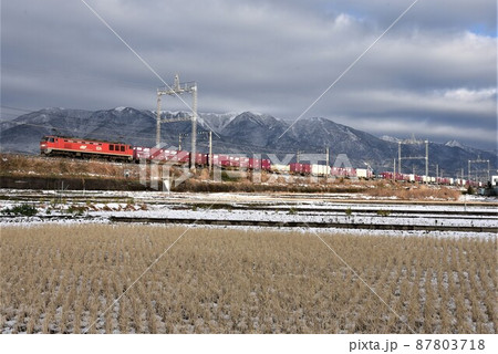比良山麓　湖西線小野 - 和邇駅を行く　下り長大貨物列車 87803718