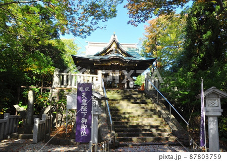 神奈川県藤沢市　白旗神社本殿と源義経公鎮霊碑と紅葉 87803759