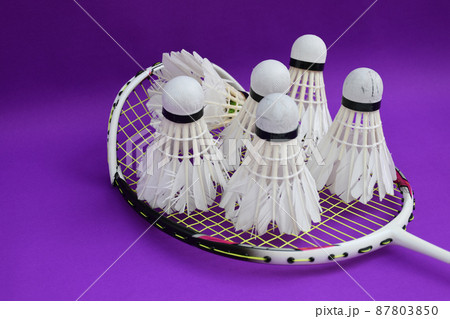 Unused badminton shuttlecocks and broken string racket on the floor of indoor badminton court, concept for badminton lovers around the world. Unused badminton shuttlecocks and broken string racket on the floor of indoor badminton court, concept for badminton lovers around the world. 87803850