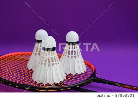 Cream white badminton shuttlecocks and rackets on purple floor in indoor badminton court, soft and selective focus, copy space, concept for badminton lovers around the world. Cream white badminton shuttlecocks and rackets on purple floor in indoor badminton court, soft and selective focus, copy space, concept for badminton lovers around the world. 87803901