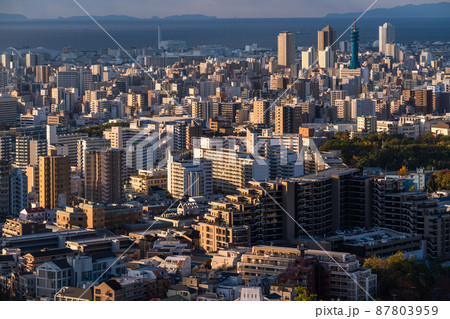 《兵庫県》神戸都市風景・諏訪山公園の夜明け 87803959