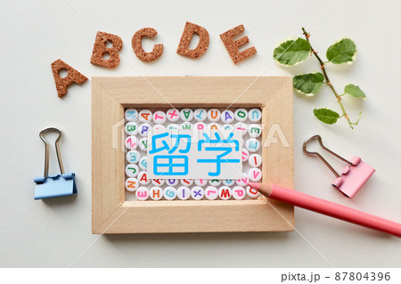 留学の文字素材 留学の文字素材 87804396