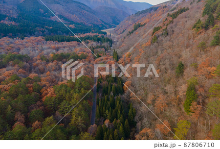 紅葉した木々を空から撮影 2021年11月撮影 岐阜県にて 紅葉した木々を空から撮影 2021年11月撮影 岐阜県にて 87806710