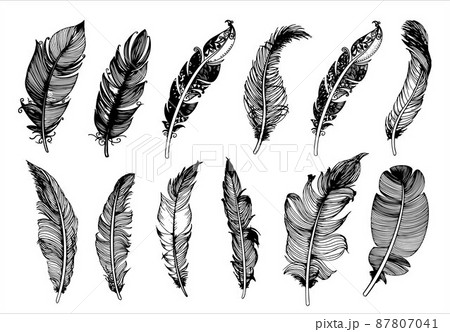 Hand drawn vintage feathers set. Vector illustration. 87807041