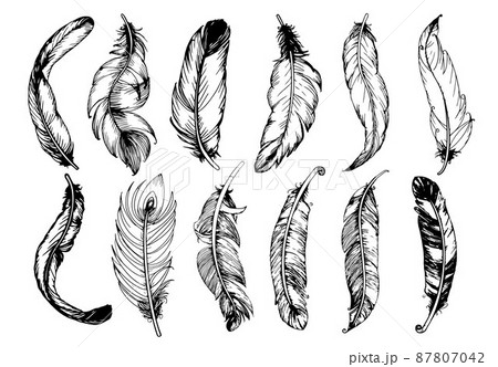 Hand drawn vintage feathers set. Vector illustration. 87807042