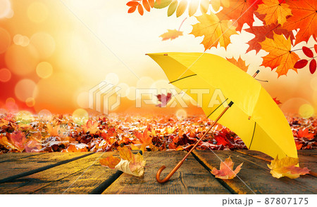 Autumn background with yellow umbrella on wooden deck Autumn background with yellow umbrella on wooden deck 87807175