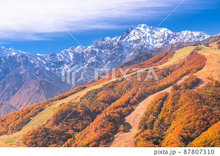 《長野県》紅葉最盛期の白馬村・三段紅葉 《長野県》紅葉最盛期の白馬村・三段紅葉 87807310