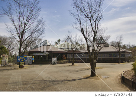 埼玉こども動物自然公園 コアラ舎 埼玉県東松山市 埼玉こども動物自然公園 コアラ舎 埼玉県東松山市 87807542