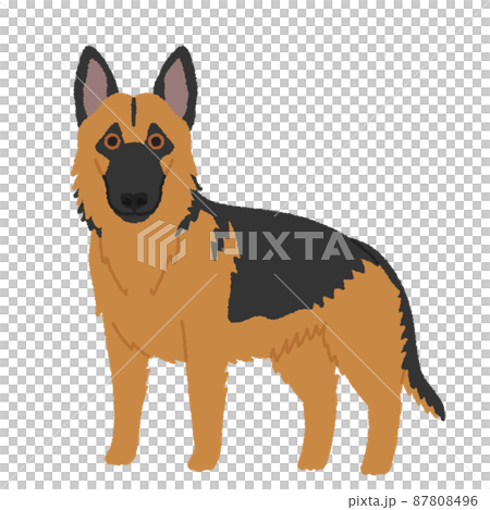 德國牧羊犬狗圖 87808496