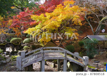 尾関山公園の紅葉の景色 87808518