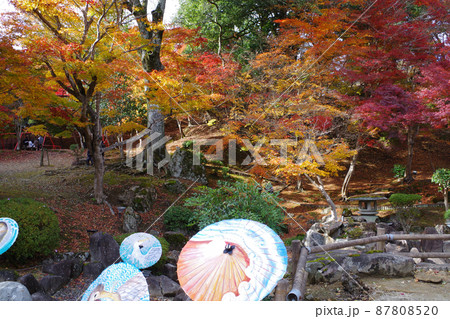 三次尾関山公園の紅葉の景色 三次尾関山公園の紅葉の景色 87808520