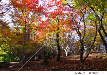 三次尾関山公園の紅葉の景色 87808532