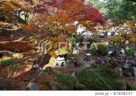 三次尾関山公園の紅葉の景色 87808537