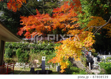 三次尾関山公園近くの寺院の紅葉の景色 87808539