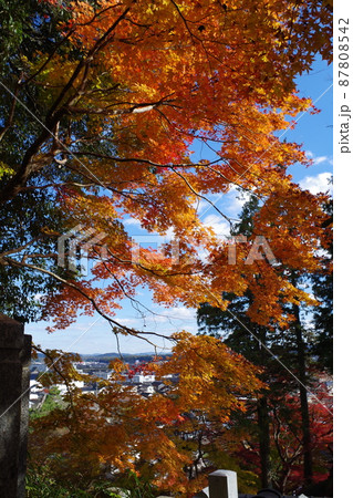三次尾関山公園近くの寺院の紅葉の景色 87808542