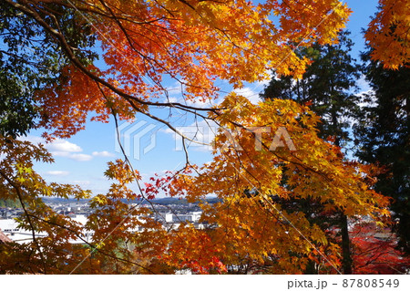 三次尾関山公園近くの寺院の紅葉の景色 三次尾関山公園近くの寺院の紅葉の景色 87808549