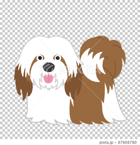 拉薩阿普索狗圖 87808780