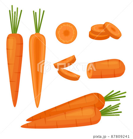 Carrot, whole vegetable, half and slices, vector illustration 87809241