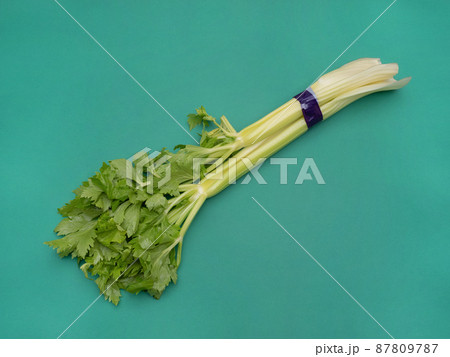 セロリ セロリ 87809787