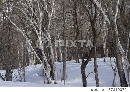 憧れの信州 87810073