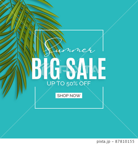 Summer big sale background with palm leaves. Vector Illustration 87810155