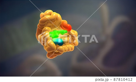 Amyloidosis animated word cloud, text design 3d illustration Amyloidosis animated word cloud, text design 3d illustration 87810412