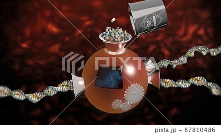 DNA polymerases are enzymes that synthesize DNA molecules.3D medical illustration DNA polymerases are enzymes that synthesize DNA molecules.3D medical illustration 87810486