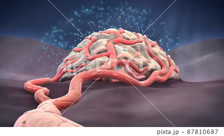 Angiogenic Signaling Pericytes, spatially isolated contractile cells 3D medical illustration 87810687