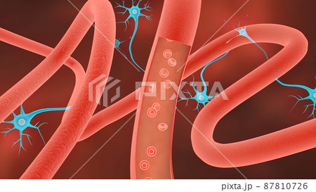 Receptors, transport of monoclonal antibodies across the blood-brain barrier 3D medical illustration 87810726