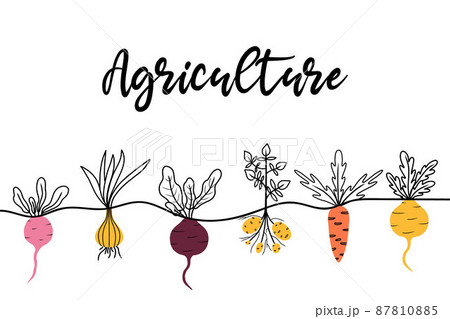 Banner or background with vegetables along the bottom. Hand-drawn illustration in doodle style. Banner with root crops. Banner or background with vegetables along the bottom. Hand-drawn illustration in doodle style. Banner with root crops. 87810885