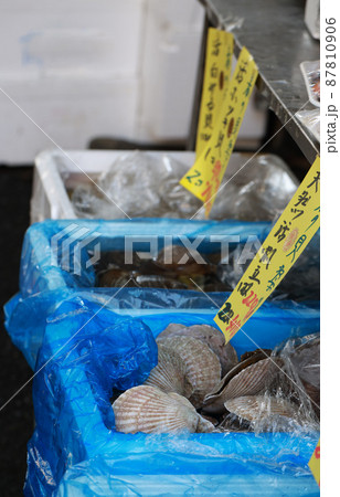 魚屋 貝 魚屋 貝 87810906