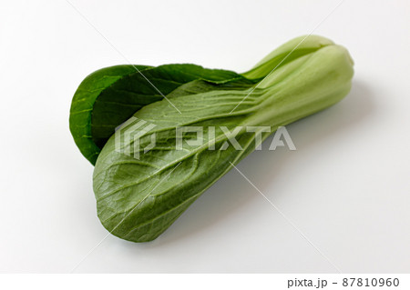 チンゲン菜 葉 野菜 87810960