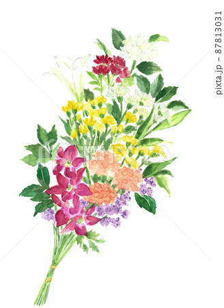 仏花 供花【手描き水彩画】白バック 透過背景 コピースペースあり 仏花 供花【手描き水彩画】白バック 透過背景 コピースペースあり 87813031