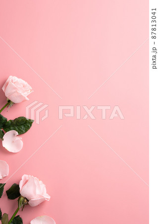 薔薇 バラ科 バラ 87813041