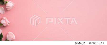 薔薇 バラ科 バラ 87813044