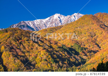 《長野県》紅葉の青木湖湖畔の風景・三段紅葉 87814599