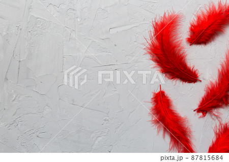 background of brightly colored dyed bird feathers on Colored background, top view. Copy space 87815684