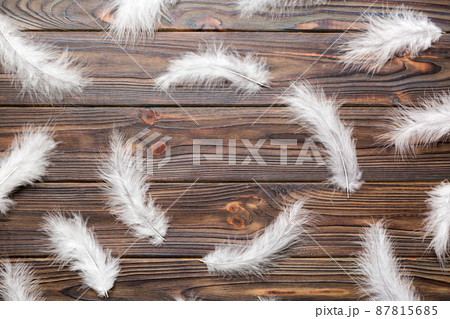 Frame of brightly colored dyed bird feathers on Colored background, top view 87815685