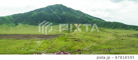 熊本県・夏の阿蘇草千里 87816595