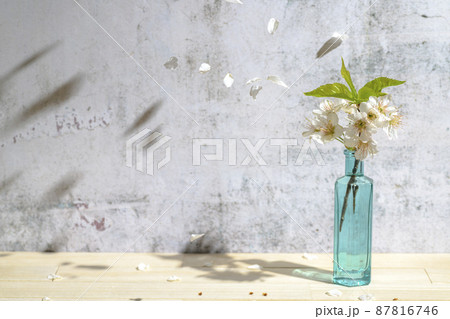 窓から差し込む光と花瓶に生けた桜 窓から差し込む光と花瓶に生けた桜 87816746