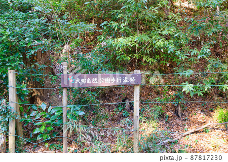 大町自然公園歩行道路(千葉県市川市) 大町自然公園歩行道路(千葉県市川市) 87817230