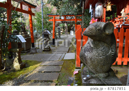早春に参拝した京都市大豊神社の狛ねずみが可愛い 早春に参拝した京都市大豊神社の狛ねずみが可愛い 87817851