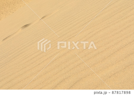 【鳥取県】晴天下の鳥取砂丘 【鳥取県】晴天下の鳥取砂丘 87817898