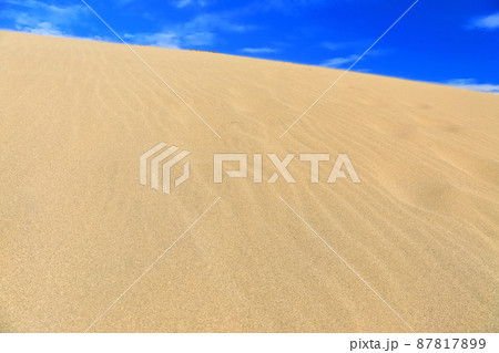 【鳥取県】晴天下の鳥取砂丘 【鳥取県】晴天下の鳥取砂丘 87817899