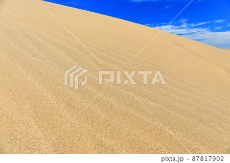 【鳥取県】晴天下の鳥取砂丘 【鳥取県】晴天下の鳥取砂丘 87817902