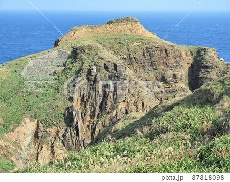 沖縄県 与那国島 サンニヌダイ 87818098