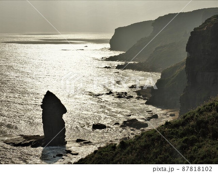 沖縄県 与那国島 立神岩 87818102
