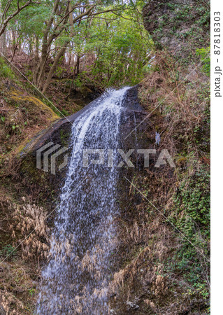 （神奈川県）南足柄市　夕日の滝　冬 87818303